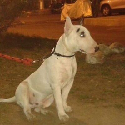 Profile Picture of Carlos Alzate Ubarne (@carlosalzate70) on Twitter