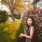 Profile Picture of Anh Dang (@ntadang) on Instagram