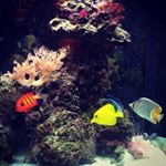 Profile Picture of Beth Jacobs (@bethinbham) on Instagram