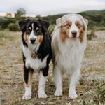 K A I L O  &  L A K E - Instagram Profile Picture of K A I L O  &  L A K E (@kailoandlake) on Instagram