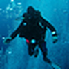 Profile Picture of palmicus2010 (@palmicus2010) on Flickr