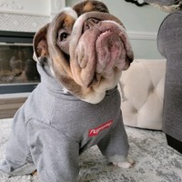 Profile Picture of Shawna Witte (@shawna-witte) on Quora