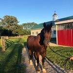 Profile Picture of Nancy McHugh (@nan.e.mac) on Instagram