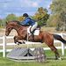 Profile Picture of Colleen Lumb (@colleenlumb) on Pinterest