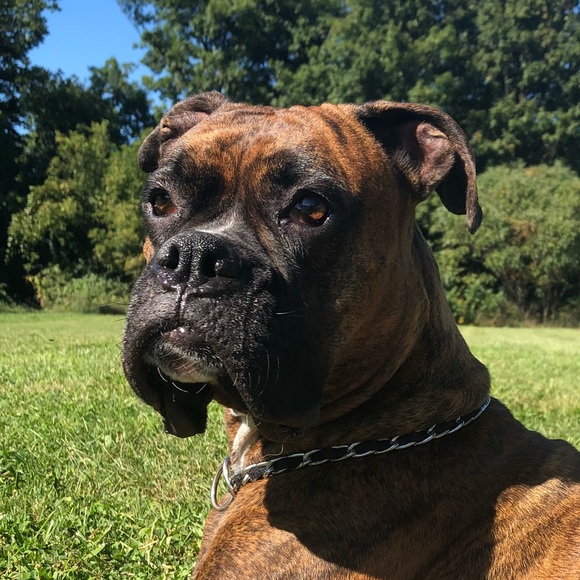 Profile Picture of Traci Budziszewski (@tbuda6918) on Poshmark