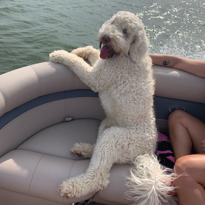 Profile Picture of Matt Priest (@priest.matt) on Tiktok