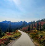 Profile Picture of Andrea Whitehurst (@andrea.whitehurst.31) on Facebook