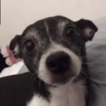 Profile Picture of Candy (@candy_conner) on Instagram