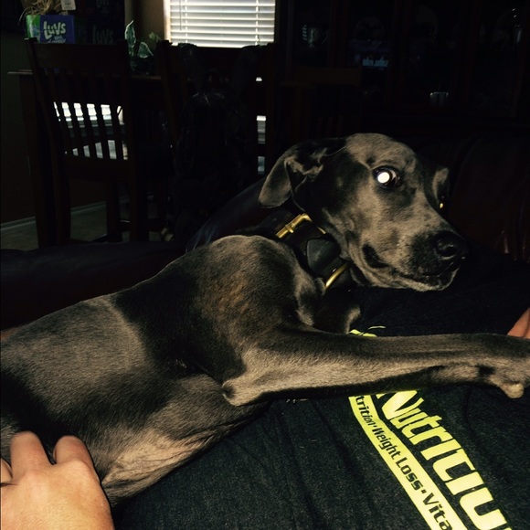 Profile Picture of Sarah R (@sarice321) on Poshmark