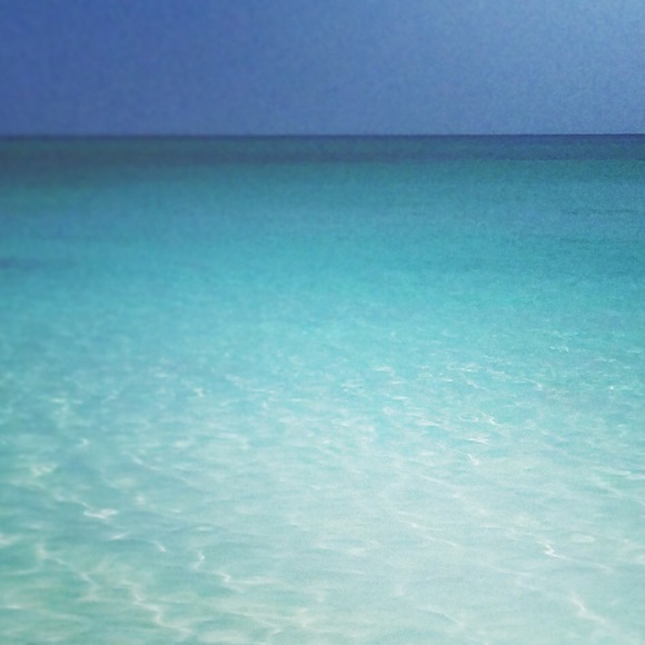 Profile Picture of Vivian Choi (@vc82) on Poshmark