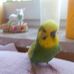 Profile Picture of Birgitt Barron (@birgitt.barron) on Facebook