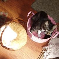 Profile Picture of Debra Bezona (@debra-bezona) on Quora