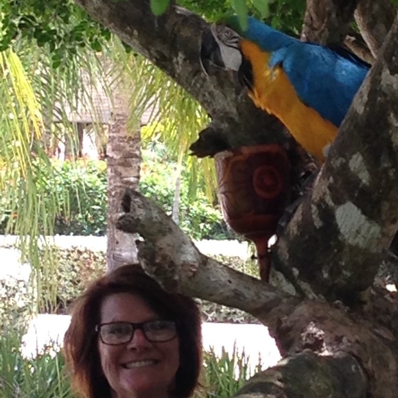 Profile Picture of Denise Fournier (@dcfournier) on Poshmark