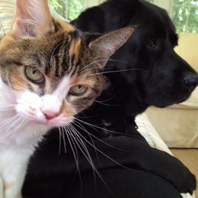 Profile Picture of Nancy Rollman (@nroll86) on Twitter