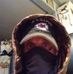 Profile Picture of Bobby Neal (@bobby.neal.1694059) on Facebook