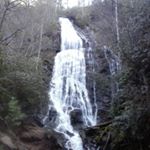 Profile Picture of Haley  Meeks (@haley_m_2003) on Instagram