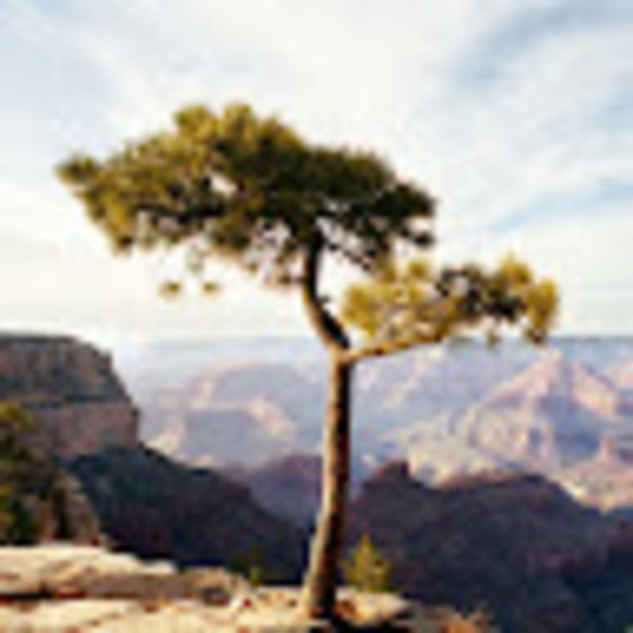 Profile Picture of Kyle Okiec (@ookkiieecc) on Poshmark