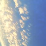 Profile Picture of Torri Bailey (@2unique_4life) on Instagram