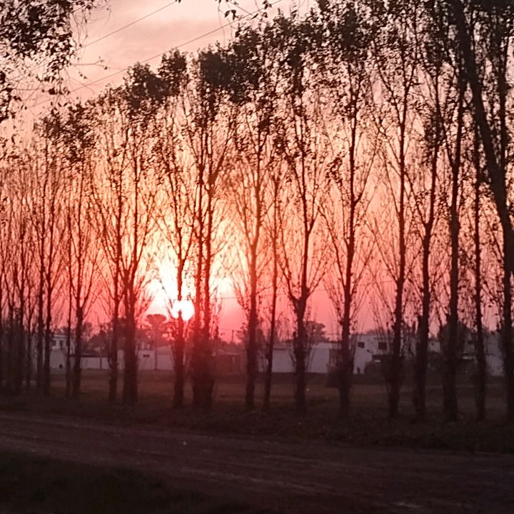 Andrea Stier - Tiktok Profile Picture of Andrea Stier (@andrea.stier) on Tiktok