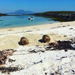 Kai Pedersen - Instagram Profile Picture of Kai Pedersen (@kaipeders1) on Instagram