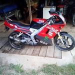 Profile Picture of Dominique Winter (@dominique.winter.165) on Instagram