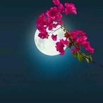 Profile Picture of Nerlande Joseph (@lafameuse_nerlande.joseph.5070) on Instagram