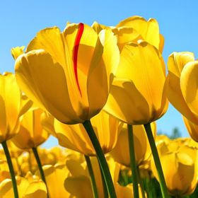 Profile Picture of Jeni Cason (@cason1283) on Pinterest