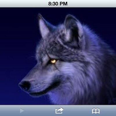 Profile Picture of Wendell (@Wolf5t) on Twitter