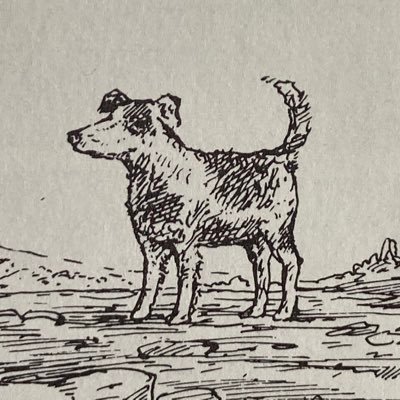 Profile Picture of Toby Miller (@tobytram) on Twitter