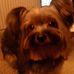 Profile Picture of Edward Tripp (@edward.tripp1) on Facebook