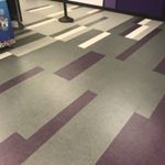 Profile Picture of Sean DeVore (@nf_flooring) on Instagram