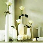 Profile Picture of ... (@ali.kabus) on Instagram