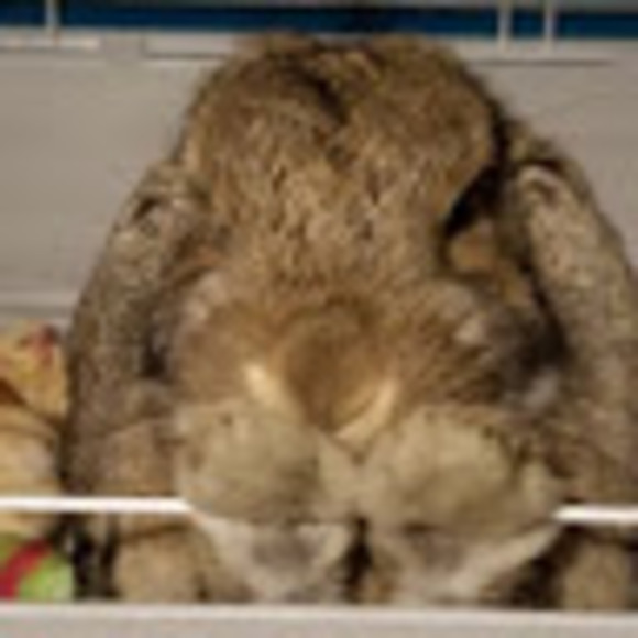 Profile Picture of Sea salt sally Reid fam (@sallyreid210) on Poshmark