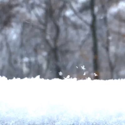 Profile Picture of Jared.Life.is.Short (@Z575Vqxf7pESgWV) on Twitter