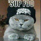 Profile Picture of Jonathan Mcshane (@mcshanejonathan) on Instagram