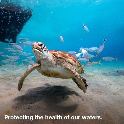 Profile Picture of Donald John Oke (@ubwato) on Twitter