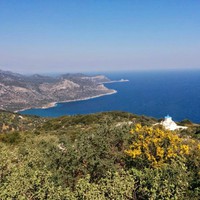 Profile Picture of Leah Koutsoukalis (@leah-koutsoukalis) on Quora