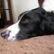 Profile Picture of Gavin Field (@gavin.field.3192) on Facebook