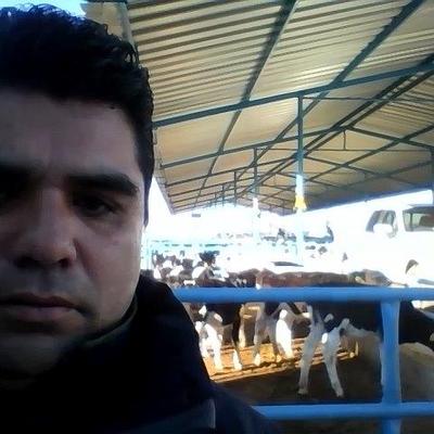 Profile Picture of Carlos Gutz Olague (@Carlolague) on Twitter
