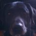 Profile Picture of Byron Gibbs (@byron.gibbs.39) on Facebook