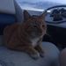 Profile Picture of Steven Enyeart (@stevenenyeart) on Pinterest