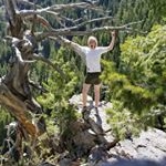 Profile Picture of Collin Jorgensen, (@iamhalfginger) on Instagram