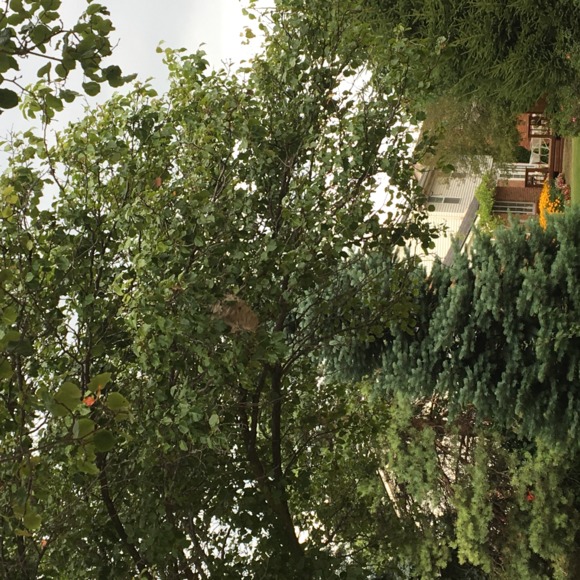 Profile Picture of Kyoko Iwahashi (@tiansglass202) on Poshmark