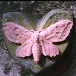 Max exline - Instagram Profile Picture of Max exline (@m4x_l1ly) on Instagram