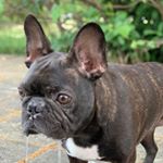 Profile Picture of 海鮮牛肉、海王子生活 (@6968h3) on Instagram