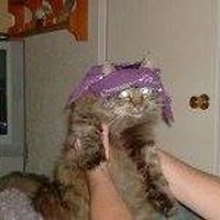 Profile Picture of Lori Atkinson (@lori-atkinson-9) on Quora