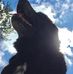 Profile Picture of Tony Kiessling (@tony.kiessling.3) on Facebook