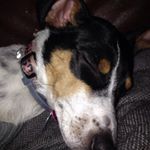 Profile Picture of Rachel Naomi Hester (@awesomeraerae) on Instagram