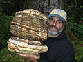 Profile Picture of Paul Stametson Wikipedia