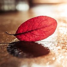 Richard - Twitter Profile Picture of Richard (@richardmarden20) on Twitter